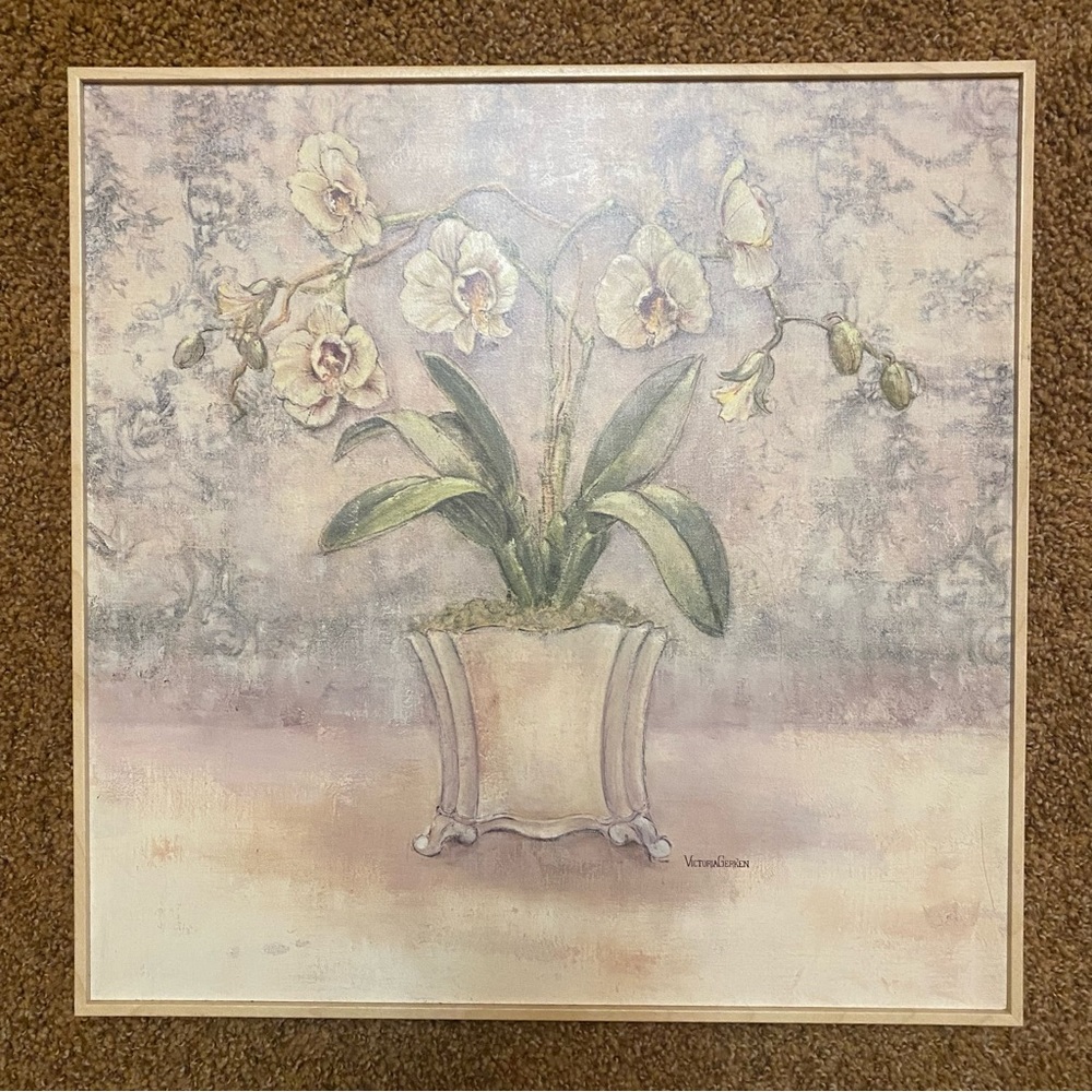 💰3for $20 - Victoria Gerken Picture